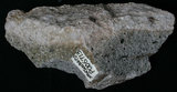 中文名:安山岩(NMNS003470-P006713)英文名:Andesite(NMNS003470-P006713)