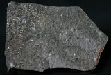 中文名:安山岩(NMNS003480-P006743)英文名:Andesite(NMNS003480-P006743)