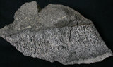 中文名:安山岩(NMNS003480-P006758)英文名:Andesite(NMNS003480-P006758)