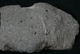 中文名:輝石安山岩(NMNS003480-P006771)英文名:Pyroxene Andesite(NMNS003480-P006771)