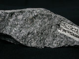 中文名:換質角閃石安山岩(NMNS003480-P006792)英文名:Altered hornblende andesite(NMNS003480-P006792)