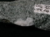 中文名:換質角閃石安山岩(NMNS003480-P006793)英文名:Altered hornblende andesite(NMNS003480-P006793)