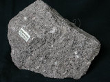 中文名:黑雲母角閃石安山岩(NMNS003480-P006803)英文名:Biotite hornblende andesite(NMNS003480-P006803)