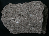 中文名:黑雲母角閃石安山岩(NMNS003480-P006804)英文名:Biotite hornblende andesite(NMNS003480-P006804)
