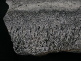中文名:角閃石安山岩(NMNS003480-P006759)英文名:Hornblende andesite(NMNS003480-P006759)