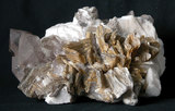 中文名:鈉長石/石英/白雲母(NMNS003553-P007078)英文名:Albite/Quartz/Muscovite(NMNS003553-P007078)