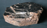 中文名:黑雲母(NMNS000677-P002704)英文名:Biotite(NMNS000677-P002704)
