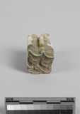 :WĤTeݾBleft upper third premolar of Equus sp.