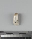 遺物:獸門齒破片、fragment of animal incisor