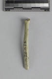 遺物:兔左橈骨、left radius of Lepus sp.