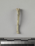 :kHBleft tibia of rodent