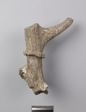 :[uYBmodified skull fragment of a male Cervus nippon