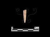 器名:骨鏃(LL-BT305)