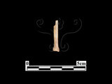 器名:骨鏃(LL-BT365)