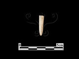器名:骨鏃(LL-BT566)