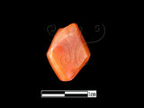 器名:肉紅石髓珠(LL-MN0028)