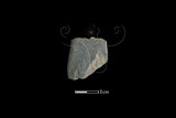 器名:磨製石鏃 (HWL079)