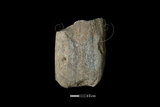 器名:磨製石斧(SL011)