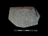 器名:石片器Ⅰ型(TMLII0002)