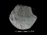 器名:石片器Ⅱ型(TMLII0161)