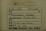 中文種名:暖暖芝麻蝸牛學名:Diplommatina maedai dandanensis俗名（英文）:暖暖芝麻蝸牛