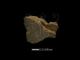 器名:磨製石器殘件(YL0080)