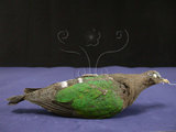 中文名:翠翼鳩(004482)學名:Chalcophaps indica(004482)英文名:Emerald Dove