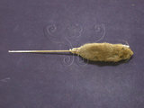 中文名:高山白腹鼠(004427)學名:Niviventer culturatus(004427)英文名:Formosan white-bellied rat