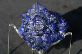 中文名:藍銅礦(NMNS002991-P005963)