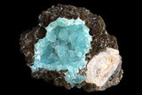 中文名:菱鋅礦(NMNS003121-P006393)英文名:Smithsonite(NMNS003121-P006393)