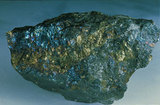 中文名:斑銅礦(NMNS000273-P001804)
