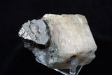 中文名:硫銅鈷礦(NMNS003553-P007107)英文名:Carrollite(NMNS003553-P007107)