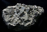 中文名:黃鐵礦(NMNS000161-P000761)英文名:Pyrite(NMNS000161-P000761)