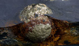 中文名:黃鐵礦(NMNS000906-P003262)英文名:Pyrite(NMNS000906-P003262)