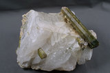 中文名:鋰電氣石(NMNS003775 -P007491)英文名:Elbaite(NMNS003775 -P007491)