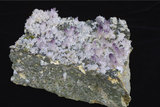 中文名:紫水晶(NMNS000906-P003223)英文名:Amethyst(NMNS000906-P003223)