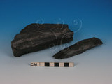 中文名:硬頁岩(NMNS005034-P012256)英文名:Argillite(NMNS005034-P012256)