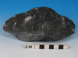 中文名:硬頁岩(NMNS005034-P012258)英文名:Argillite(NMNS005034-P012258)