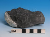 中文名:硬頁岩(含石英脈)(NMNS005034-P012261)英文名:Argillite(NMNS005034-P012261)