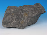 中文名:硬頁岩(NMNS005034-P012265)英文名:Argillite(NMNS005034-P012265)