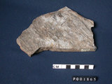 中文名:千枚岩(NMNS000324-P001865)英文名:Phyllite(NMNS000324-P001865)