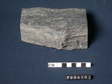 中文名:千枚岩(NMNS003214-P006502)英文名:Phyllite(NMNS003214-P006502)