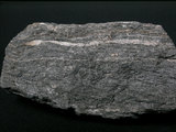 中文名:片岩(NMNS000005-P000065)英文名:Schist(NMNS000005-P000065)