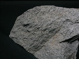 中文名:片岩(NMNS000049-P000207)英文名:Schist(NMNS000049-P000207)