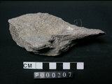 中文名:片岩(NMNS000049-P000207)英文名:Schist(NMNS000049-P000207)