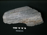 中文名:片岩(NMNS000049-P000217)英文名:Schist(NMNS000049-P000217)