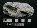 中文名:片岩(NMNS002214-P005289)英文名:Schist(NMNS002214-P005289)
