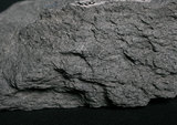 中文名:片岩(NMNS002214-P005298)英文名:Schist(NMNS002214-P005298)