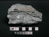 中文名:片岩(NMNS002214-P005299)英文名:Schist(NMNS002214-P005299)