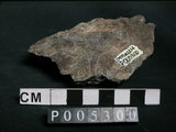 中文名:片岩(NMNS002214-P005300)英文名:Schist(NMNS002214-P005300)